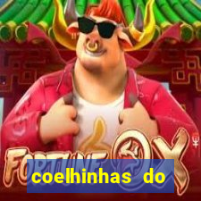 coelhinhas do brasil recife